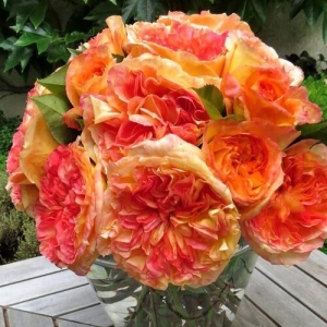 Генри Дельбар (Henri Delbard)