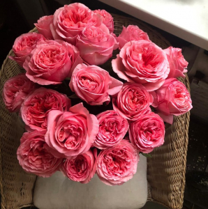 ���� �������� (Pink Expression)