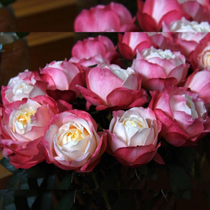 ��������� ���� (Princess Suki�)